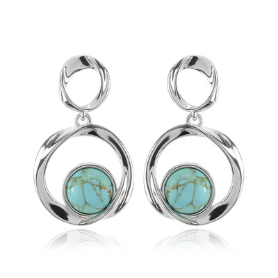 Turquoise Silver Earrings (dagen)