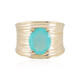 14K Paraiba Opal Gold Ring (AMAYANI)