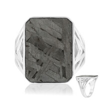 Aletai-Meteorite Silver Ring