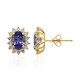 14K AAA Tanzanite Gold Earrings (CIRARI)