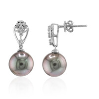 9K Tahitian Pearl Gold Earrings (TPC)