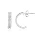 Zircon Silver Earrings