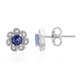 Unheated Tanzanite Silver Earrings