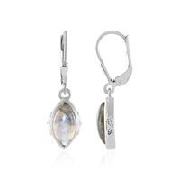 Labradorite Silver Earrings