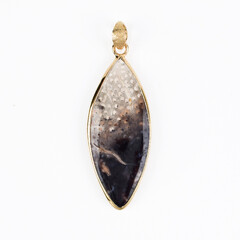 Petrified Wood Silver Pendant