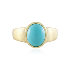 Sleeping Beauty Turquoise Silver Ring