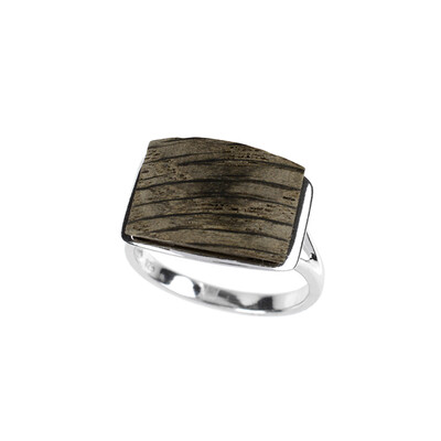 Black Oak Silver Ring (dagen)