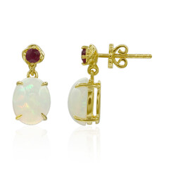 9K AAA Welo Opal Gold Earrings (Adela Gold)