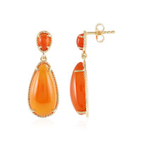 Carnelian Silver Earrings