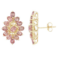 18K Unheated Padparadscha Sapphire Gold Earrings (AMAYANI)