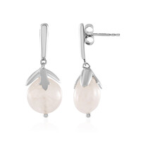 Rose Quartz Silver Earrings