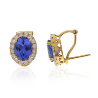 14K AAA Tanzanite Gold Earrings (CIRARI)