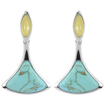 Turquoise Silver Earrings (dagen)