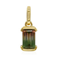 9K Bi Colour Tourmaline Gold Pendant