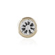 9K White Sapphire Gold Earrings (Adela Gold)