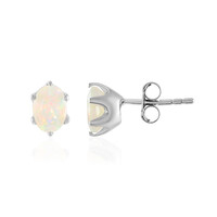 Welo Opal Silver Earrings