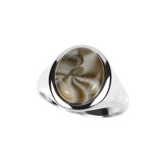 Flint stone Silver Ring