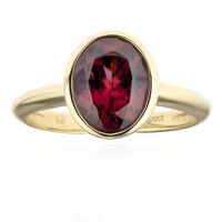 9K Red Zircon Gold Ring (CUSTODANA)