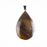 Petrified Wood Silver Pendant