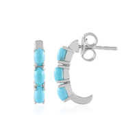 Sleeping Beauty Turquoise Silver Earrings