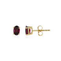 Raspberry Rhodolite Silver Earrings