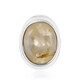 Rutile Quartz Silver Pendant (MONOSONO COLLECTION)