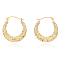 9K Gold Earrings