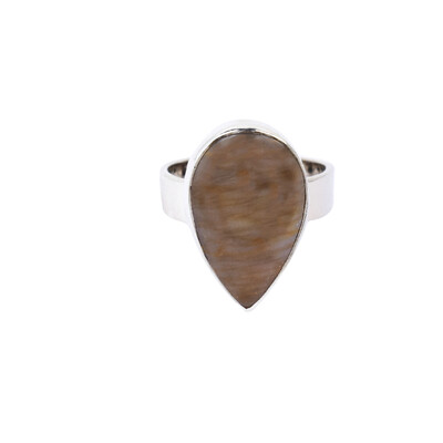 Petrified Wood Silver Ring