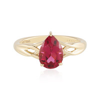 14K Rubellite Gold Ring (AMAYANI)