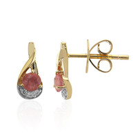 9K Pezzottaite Gold Earrings