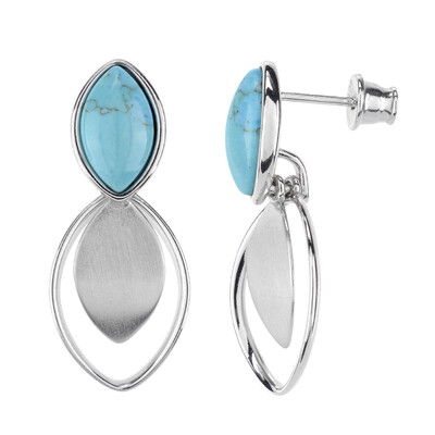 Turquoise Silver Earrings (dagen)