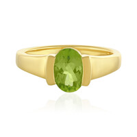 Russian Diopside Silver Ring