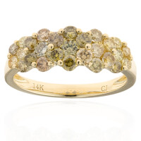 14K SI2 Fancy Diamond Gold Ring (CIRARI)