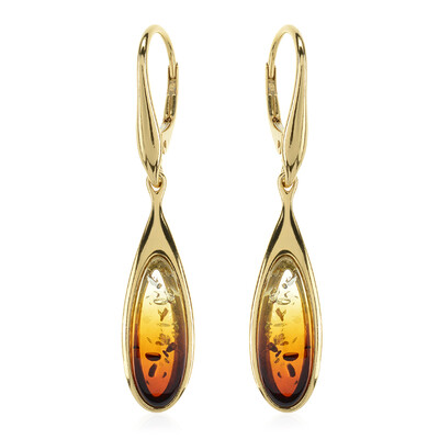 Baltic Amber Silver Earrings (dagen)