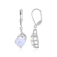 Rainbow Moonstone Silver Earrings