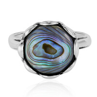 Abalone Shell Silver Ring (Art of Nature)