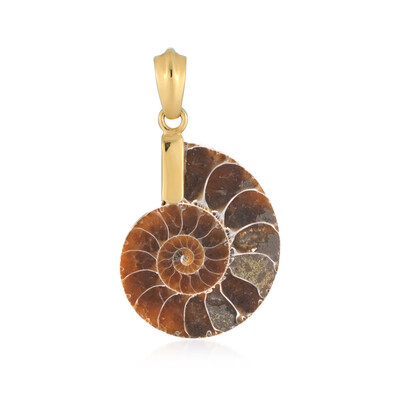 Ammonite Silver Pendant