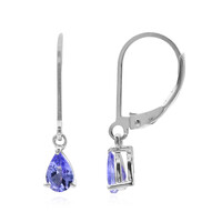 Tanzanite Silver Earrings