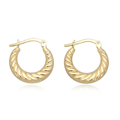 9K Gold Earrings