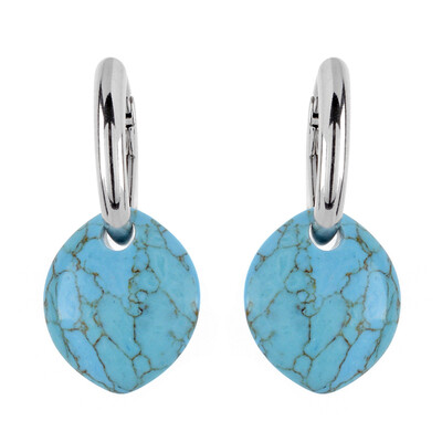 Turquoise Silver Earrings (dagen)