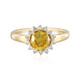 14K Sphalerite Gold Ring (AMAYANI)