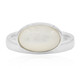 Mother of Pearl Silver Ring (MONOSONO COLLECTION)