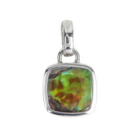 Ammolite Silver Pendant