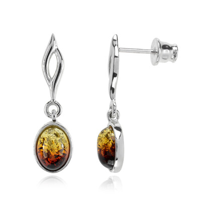 Baltic Amber Silver Earrings (dagen)