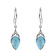 Turquoise Silver Earrings (dagen)