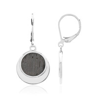 Aletai-Meteorite Silver Earrings