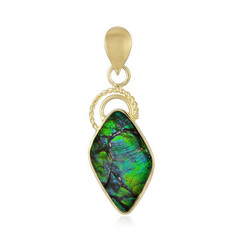 Ammolite Silver Pendant