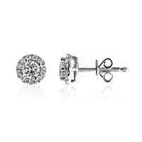 14K SI2 (H) Diamond Gold Earrings (CIRARI)