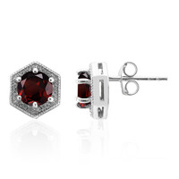 Garnet Silver Earrings