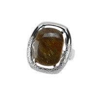 Petrified Wood Silver Ring